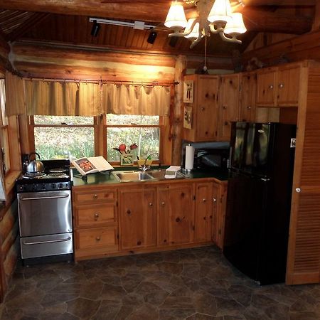 Lake Lucerne Treehouse Villa Eureka Springs Dış mekan fotoğraf
